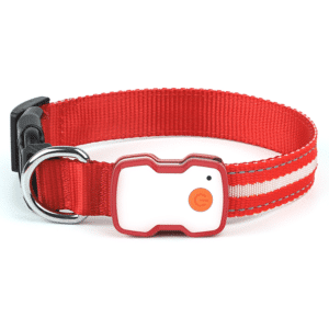 LED Dog Collar| USB Rechargeable, Waterproof Pet Collar with 3 Light Modes