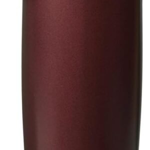 Freesip Sway Insulated Stainless Steel Water Bottle with Two-Way Spout, Built-In Straw and Bucket Handle - 887Ml (30Oz), Black Cherry | Reusable, Leak Proof, BPA Free Double Walled Water Bottle