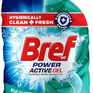 Power Active Gel Eucalyptus Toilet Cleaner 700Ml